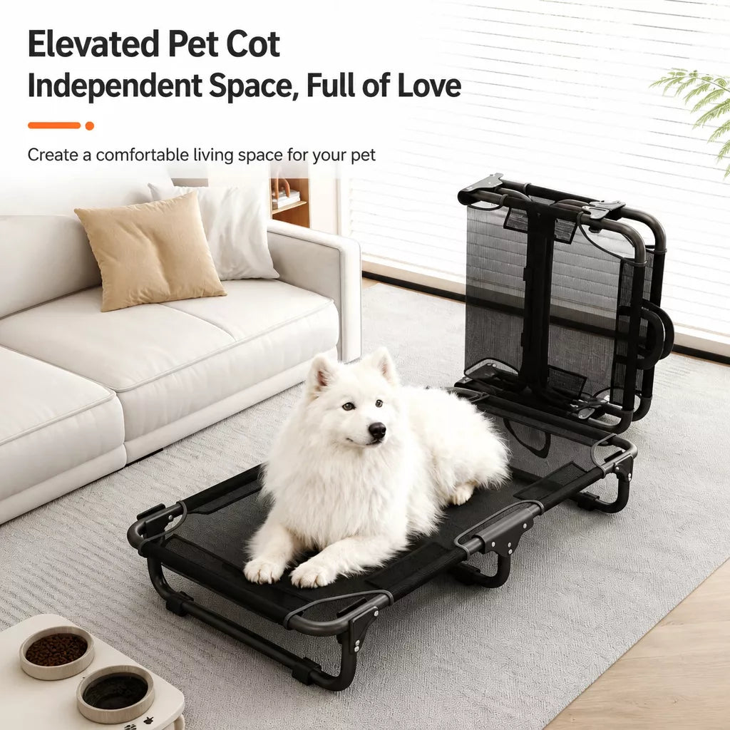 Elevated Foldable Mesh Dog Bed