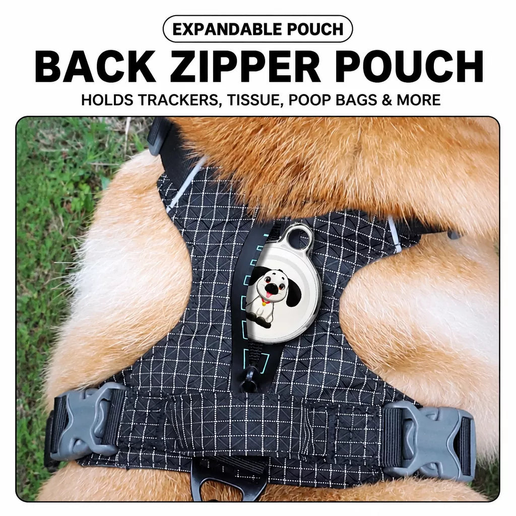 Adjustable Nylon Vest-Style Dog Harness and Leash Set