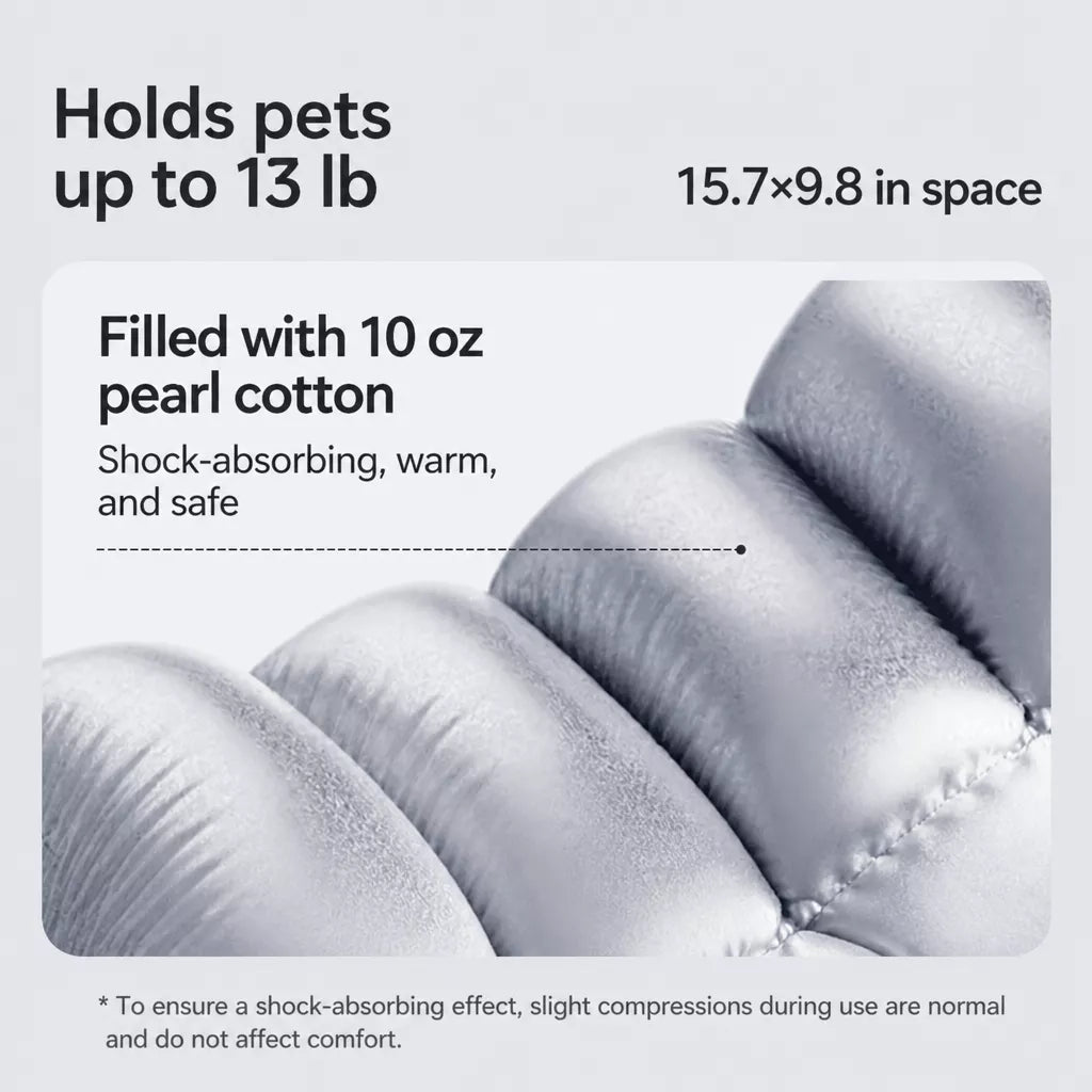 Pet Carrier Bag for Cats and Dogs