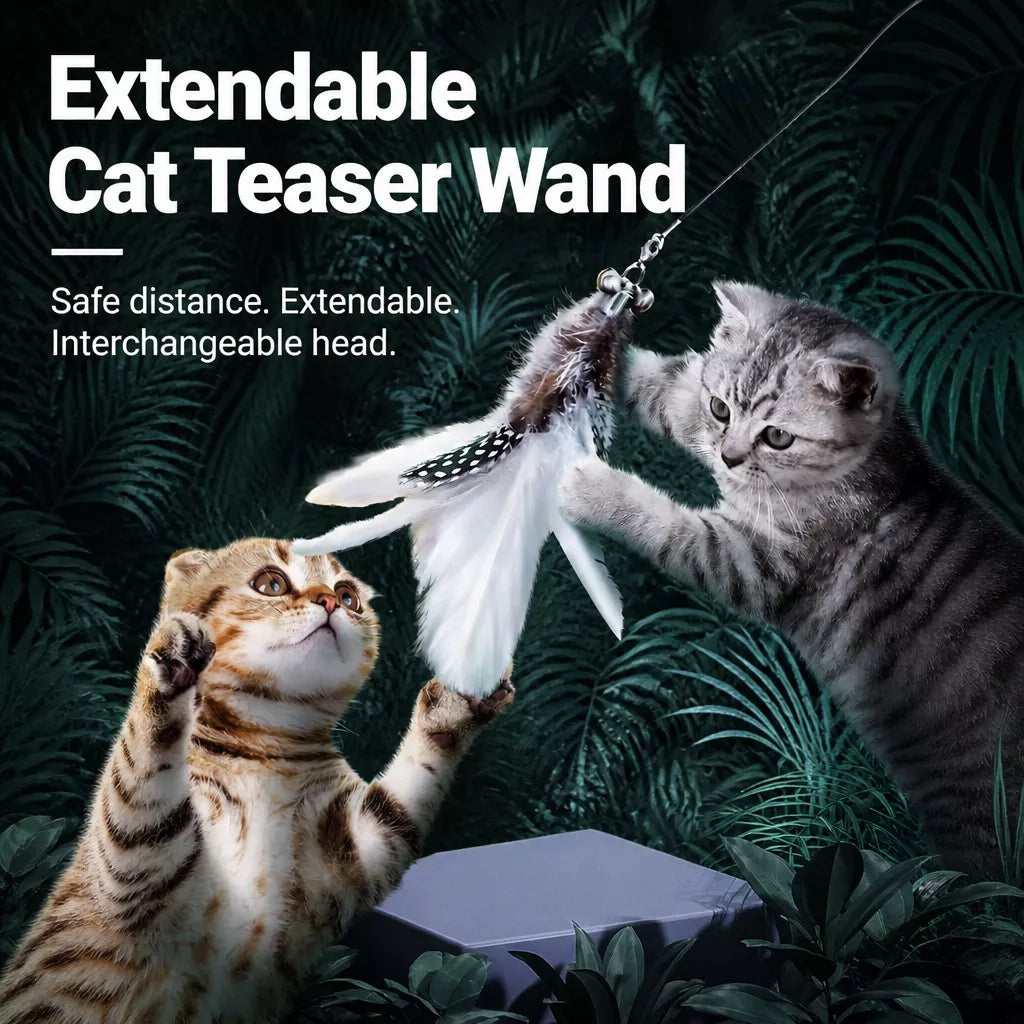Cat Teaser Wand with Feather Replacement Toy Heads