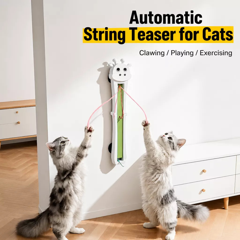 Automatic Wall-Mounted Interactive Cat Toy with Rotating Rope