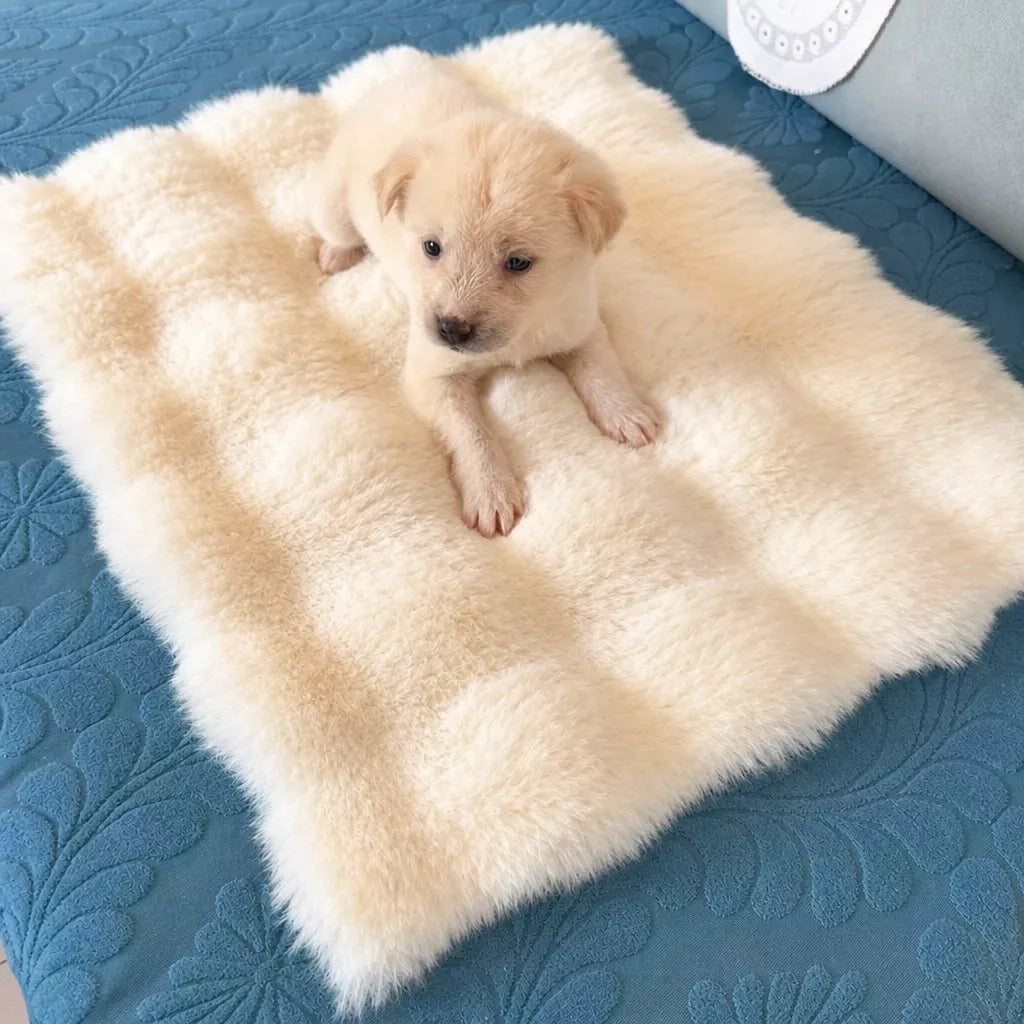 Pet Bed Mat for Cats, Dogs and Rabbits