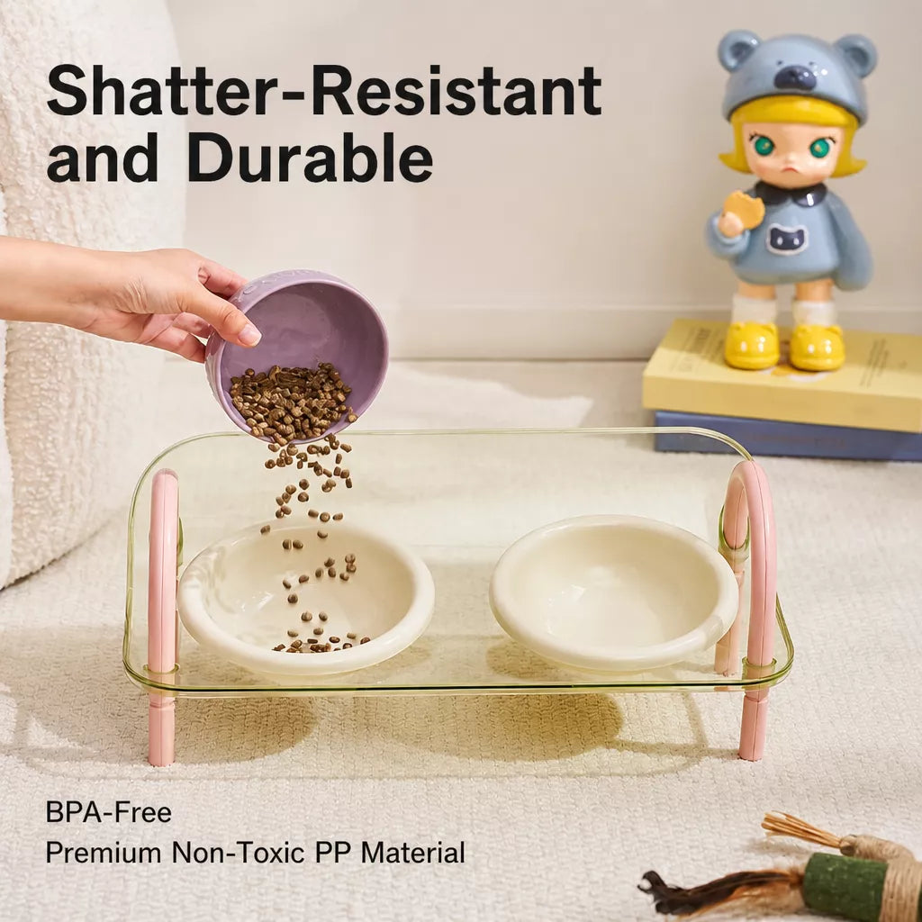 Ceramic Double-Bowl Slow Feeder Set for Pets
