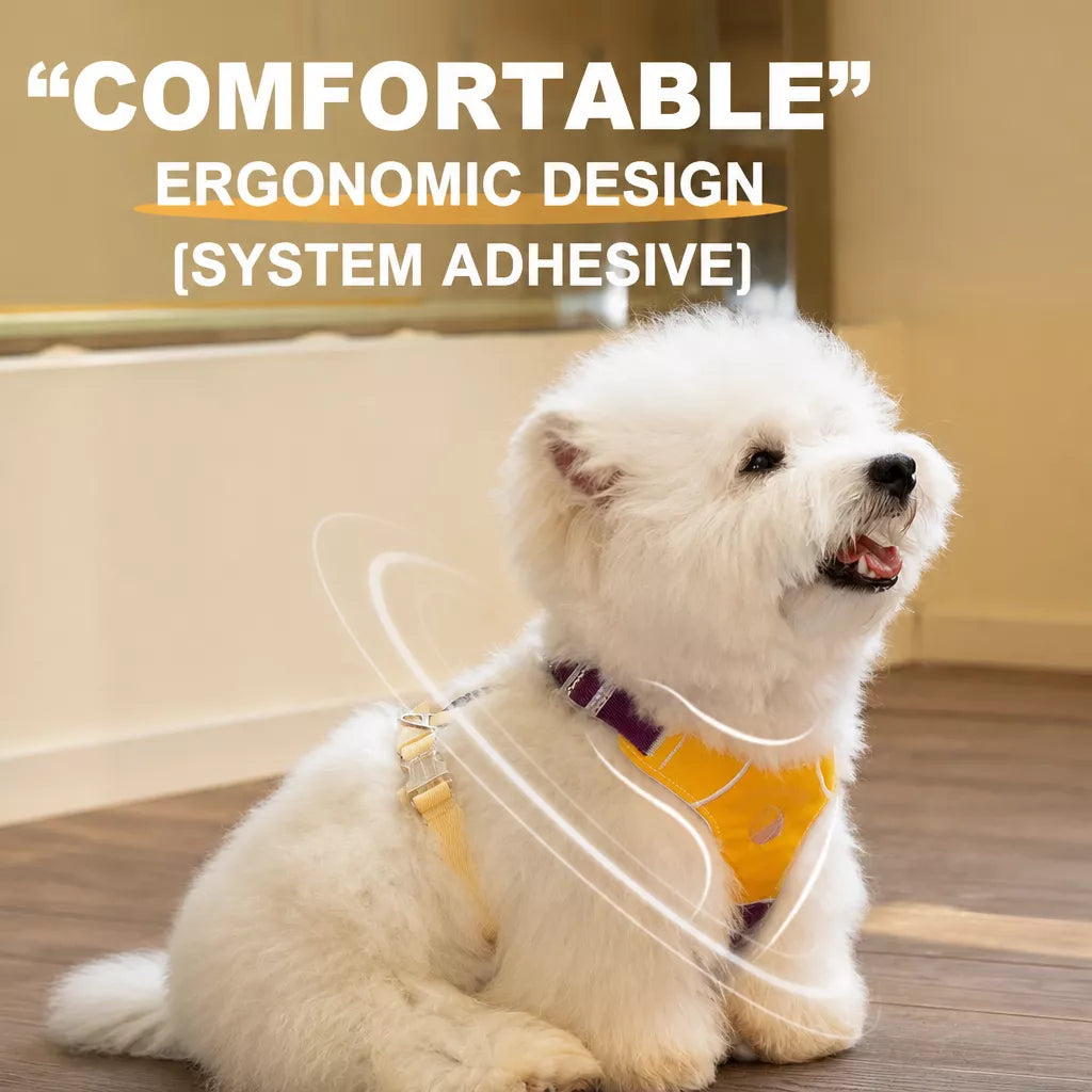 Vest-Style Dog Harness with Leash for Small to Medium Dogs