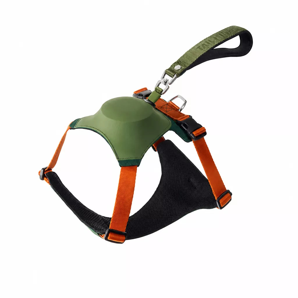 Nylon Dog Harness and Leash Set