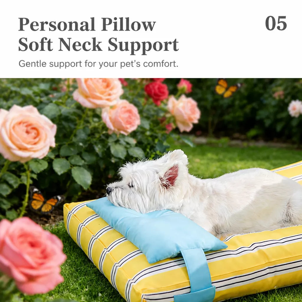 Removable Washable Pet Bed for Cats and Small to Medium Dogs