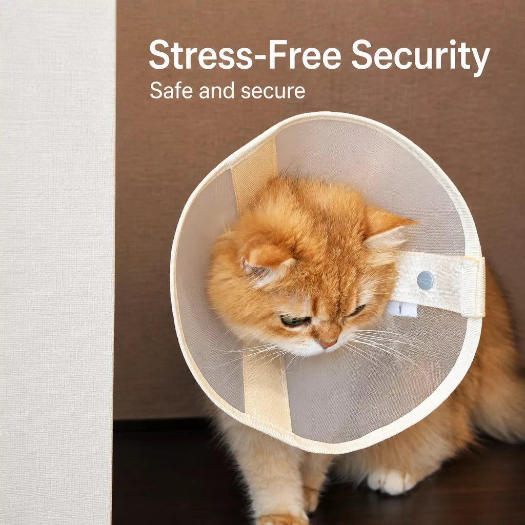 Lightweight Plastic Recovery Cone for Dogs and Cats