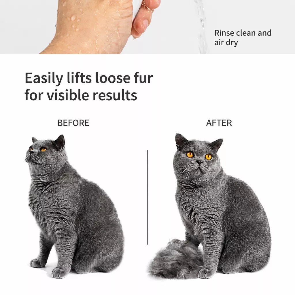 2-in-1 Dog & Cat Grooming Brush with Detangling Comb