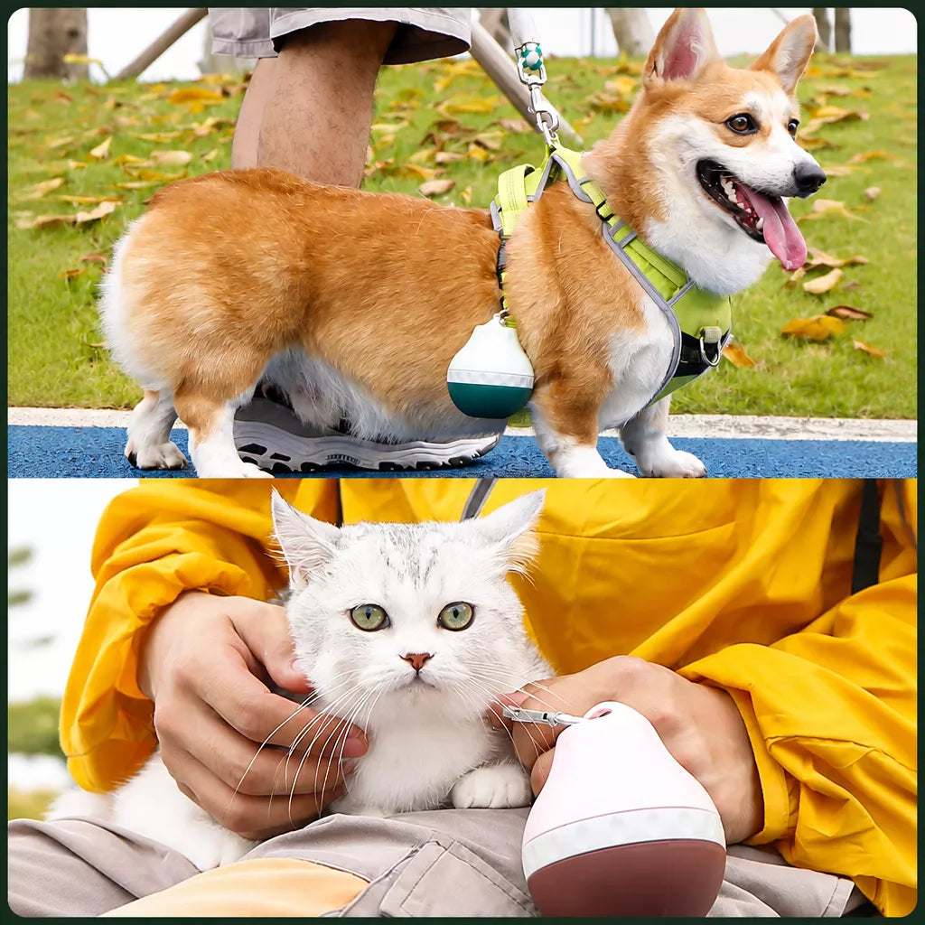 Portable Pet Water Bottle for Dogs and Cats