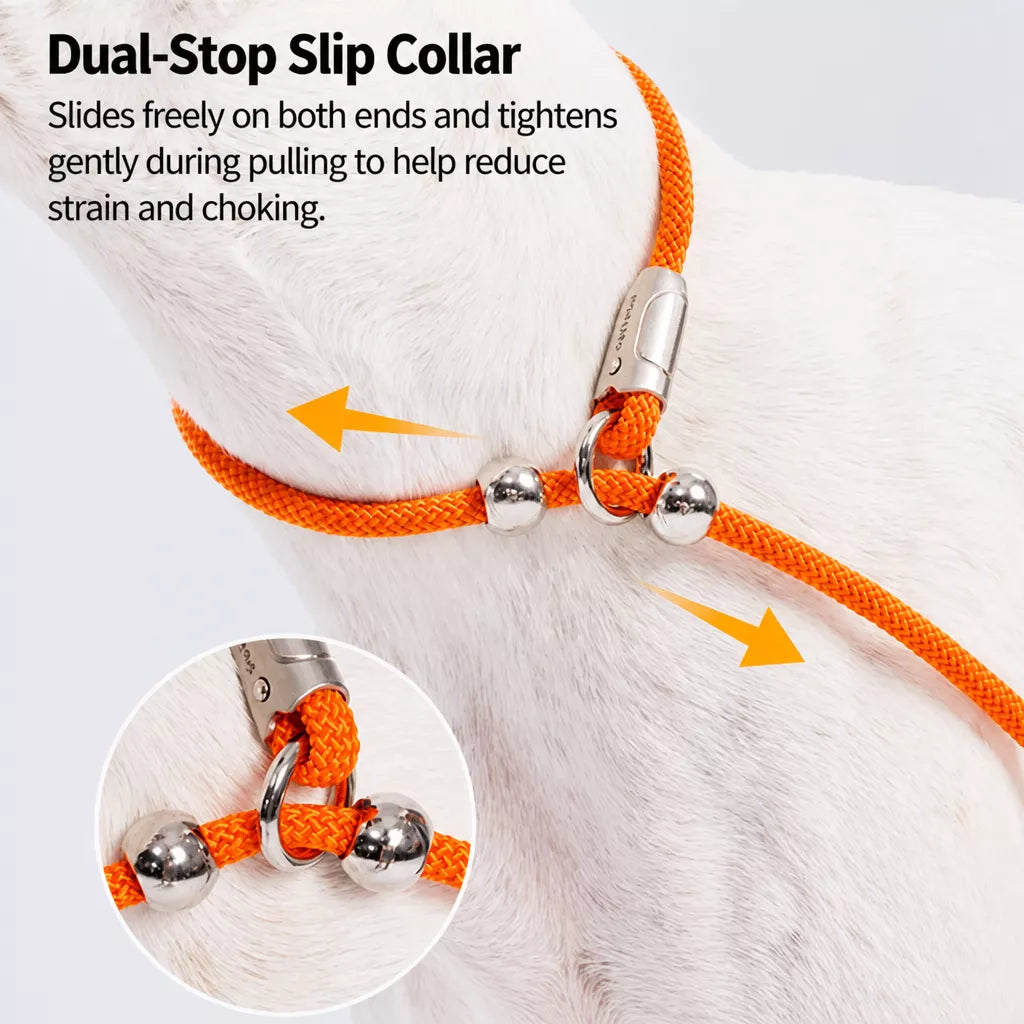 Integrated Slip Lead Dog Leash with Close-Control Handle