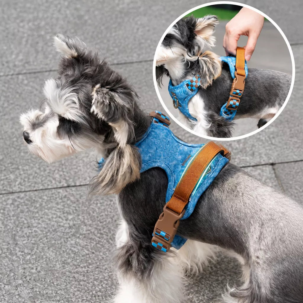 Adjustable Polyester Dog Vest Harness and Leash