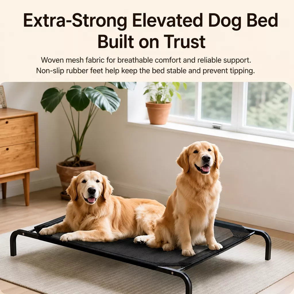 Elevated Mesh Dog Bed with Metal Frame