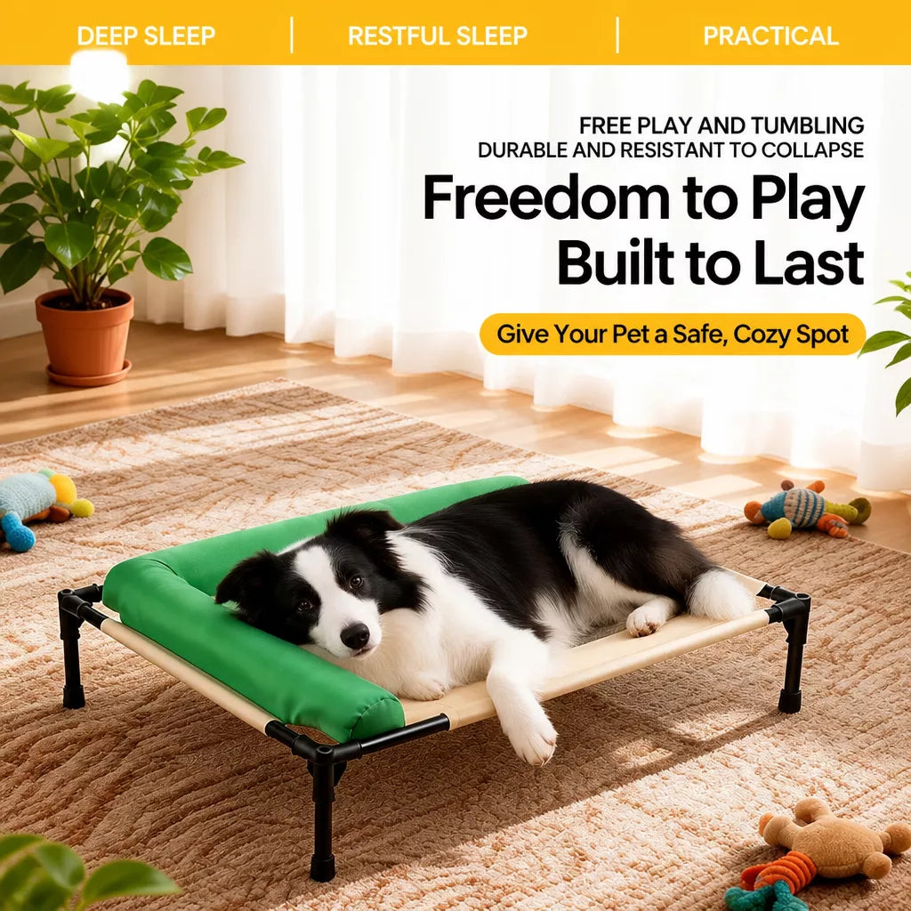 Elevated Pet Cot Bed with Removable Washable Cover