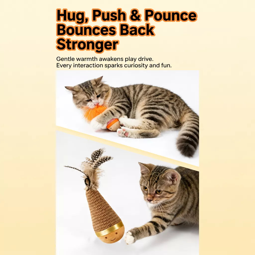 Wobble Dog & Cat Toy for Indoor Play