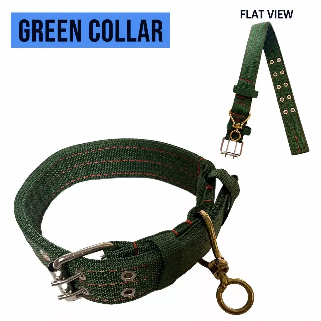 Adjustable Nylon Dog Harness and Leash Set