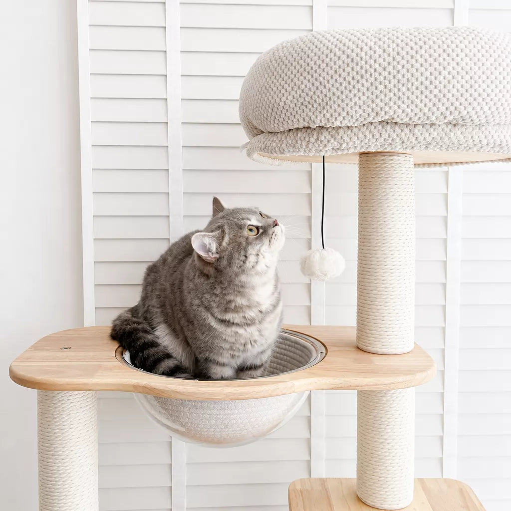Wooden Cat Tree with Enclosed Hideaway and Removable Washable Parts