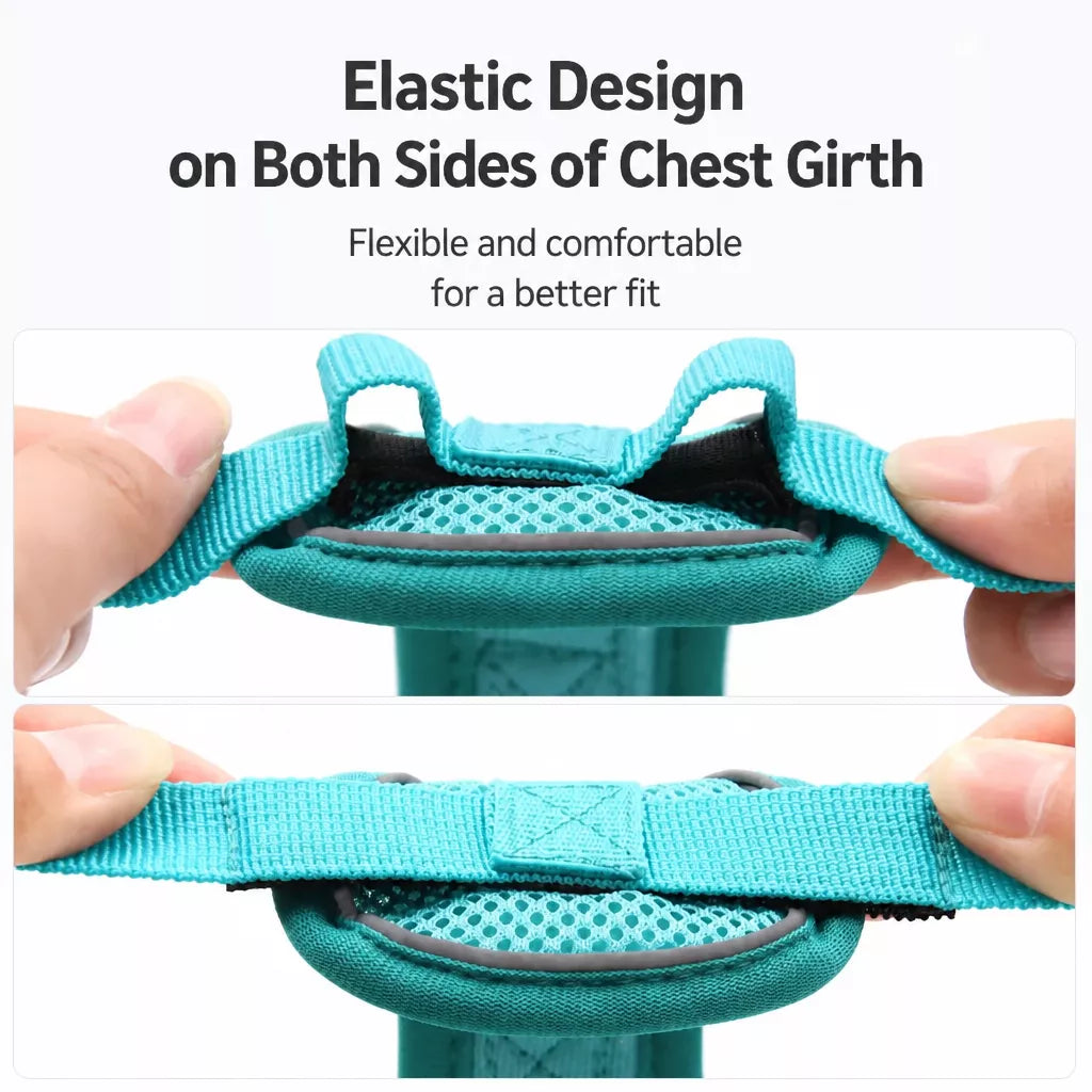 Cat Harness and Leash