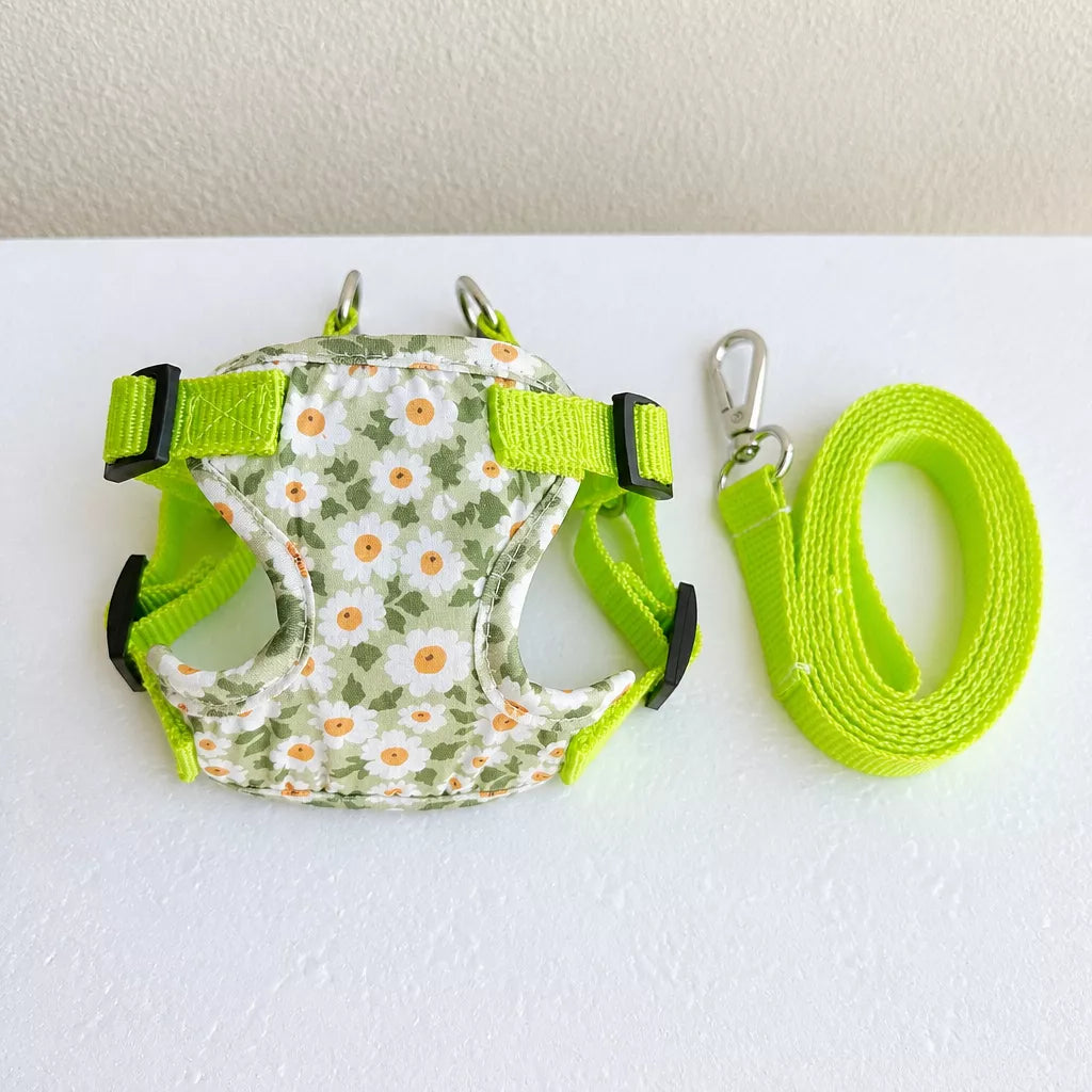 Reflective Nylon Vest Harness and Leash for Small Dogs & Cats