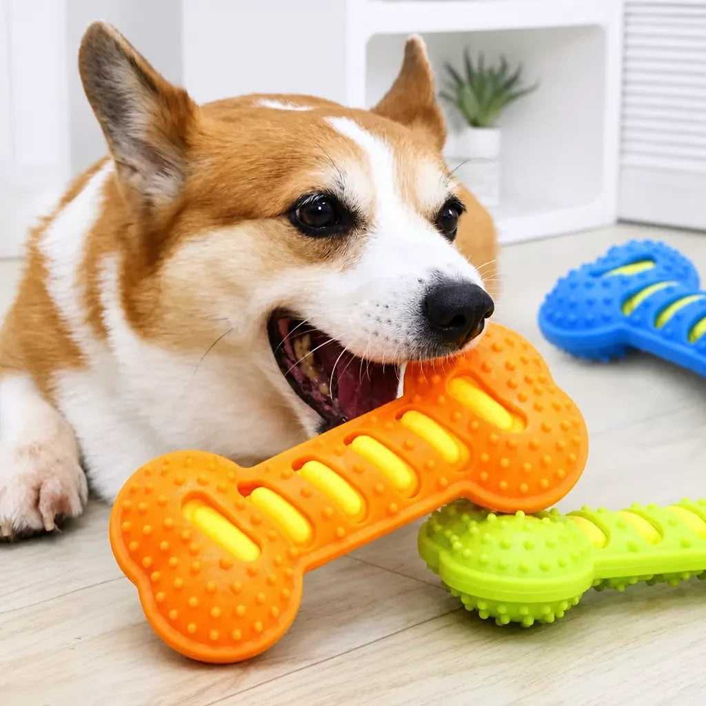 Double-Layer Squeaky Bone Toy for Large Dogs