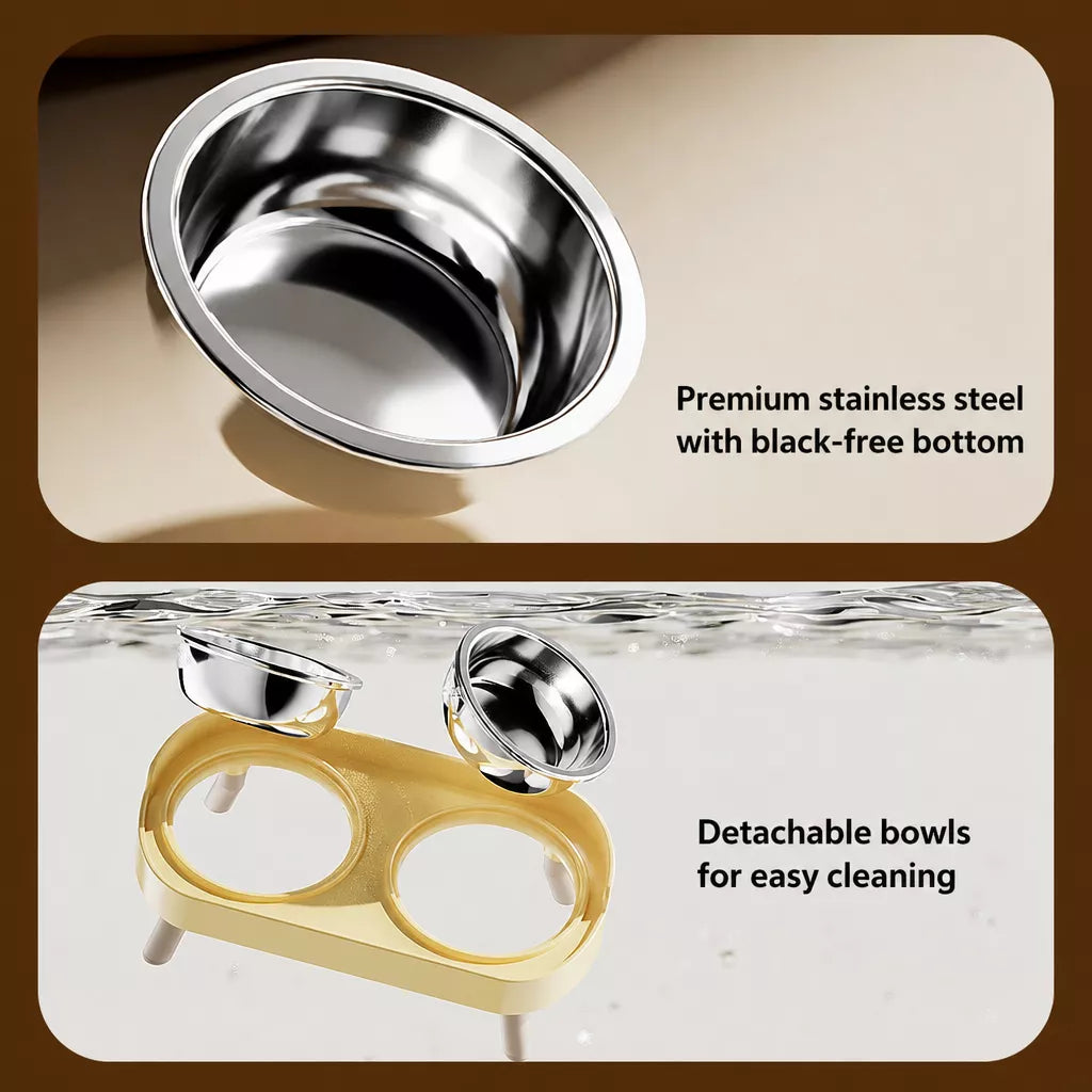 Double Dog Bowl Stand with Stainless Steel Bowls