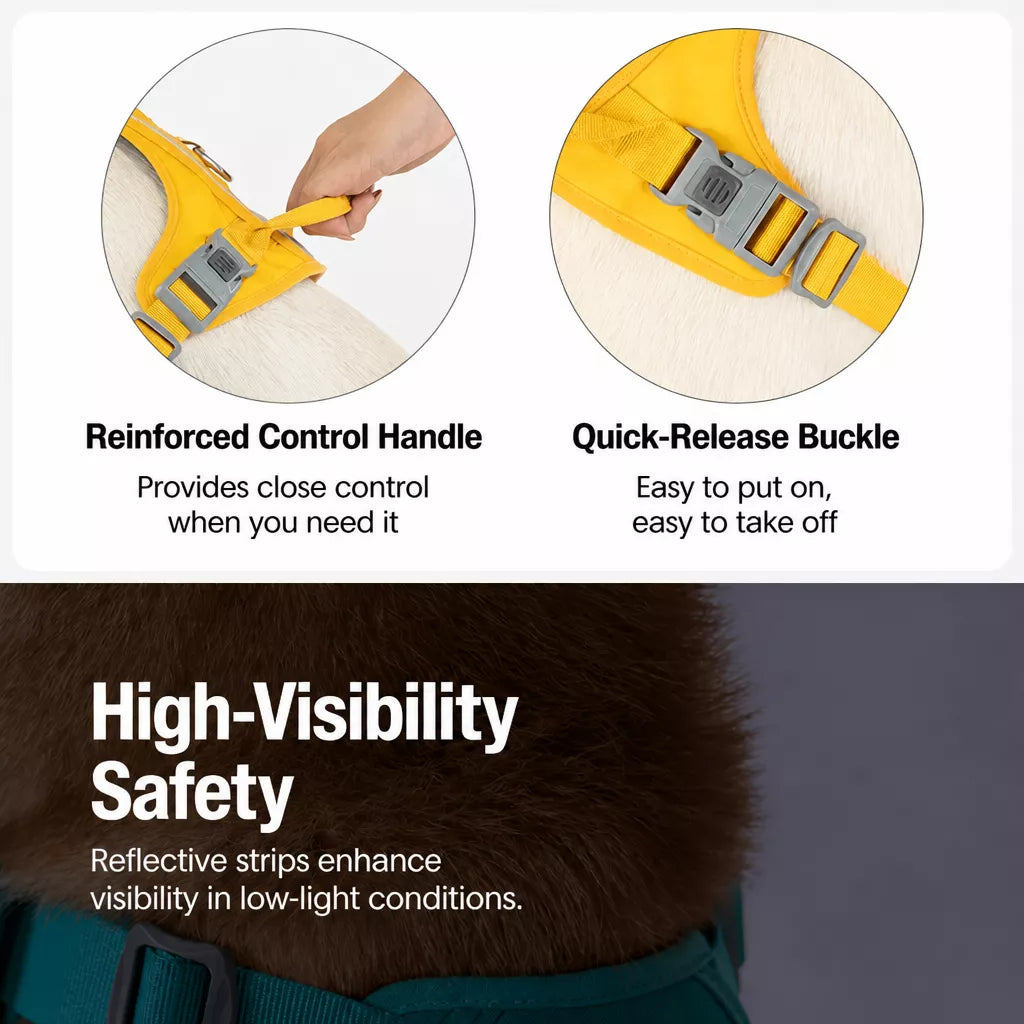Lightweight Nylon Dog Harness and Leash Set