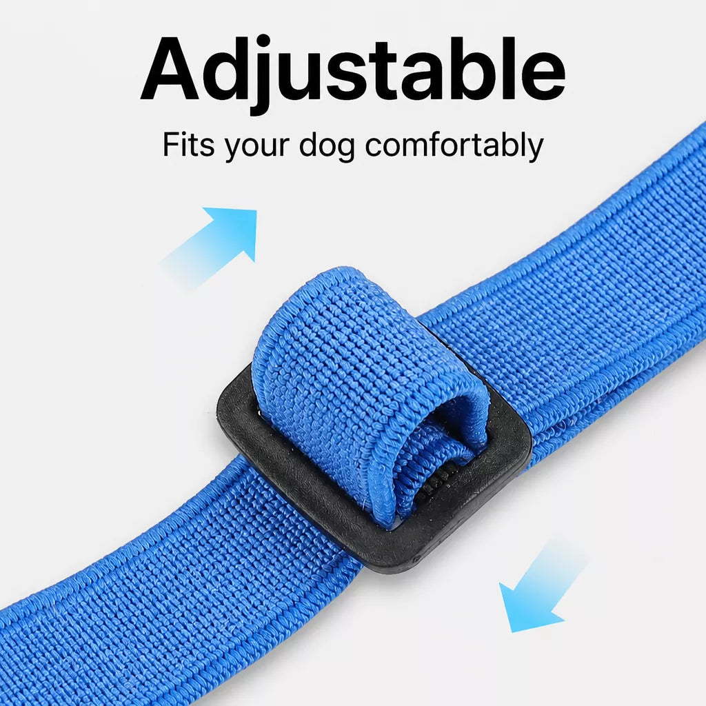 Mesh Dog Muzzle