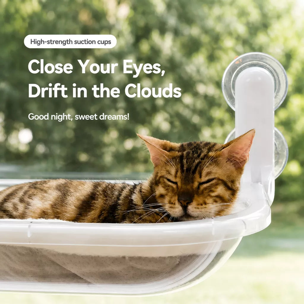 Foldable Transparent Cat Window Capsule Hammock