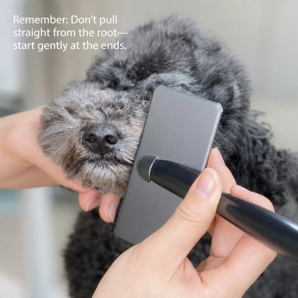 Pet Pin Brush for Dogs and Cats, Long-Hair Grooming Tool