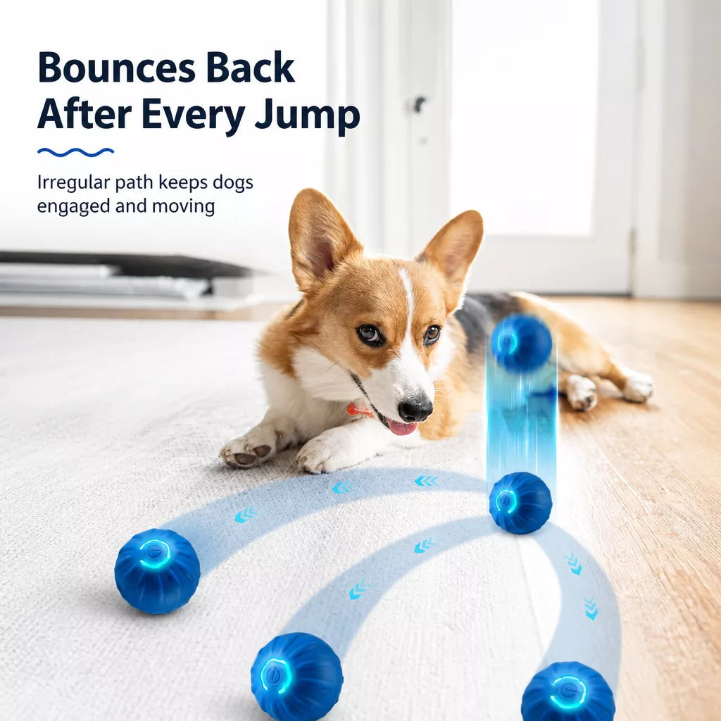 Interactive Electric Squeaky Bouncing Ball Toy for Dogs