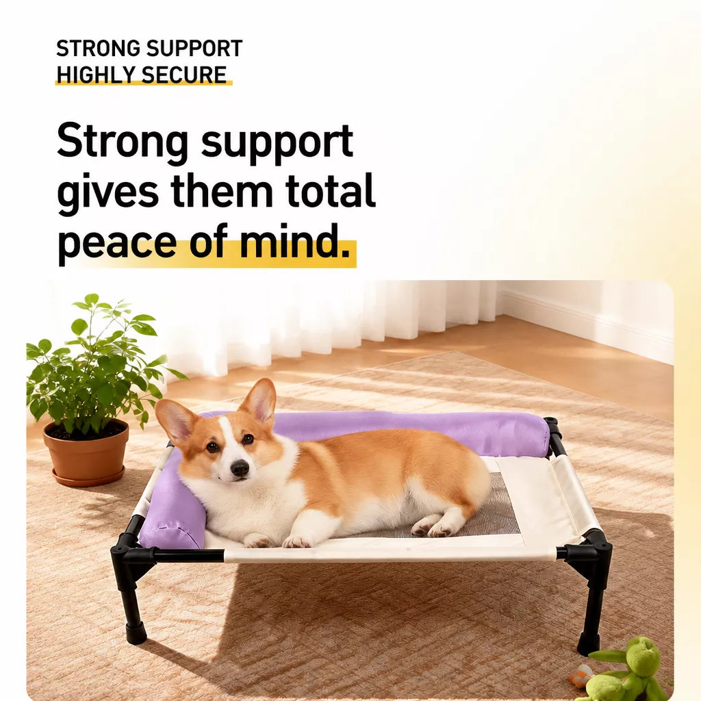 Elevated Pet Cot Bed with Removable Washable Cover