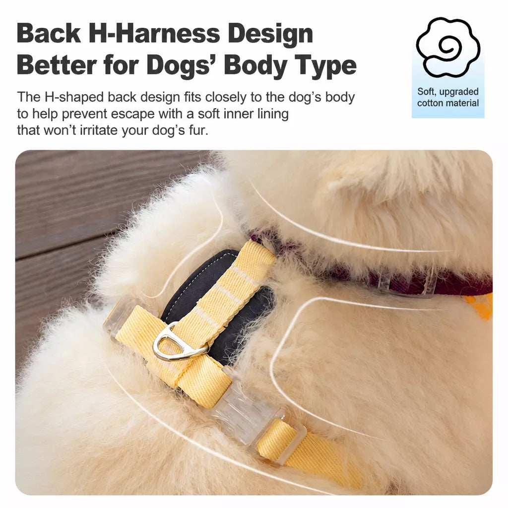Vest-Style Dog Harness with Leash for Small to Medium Dogs