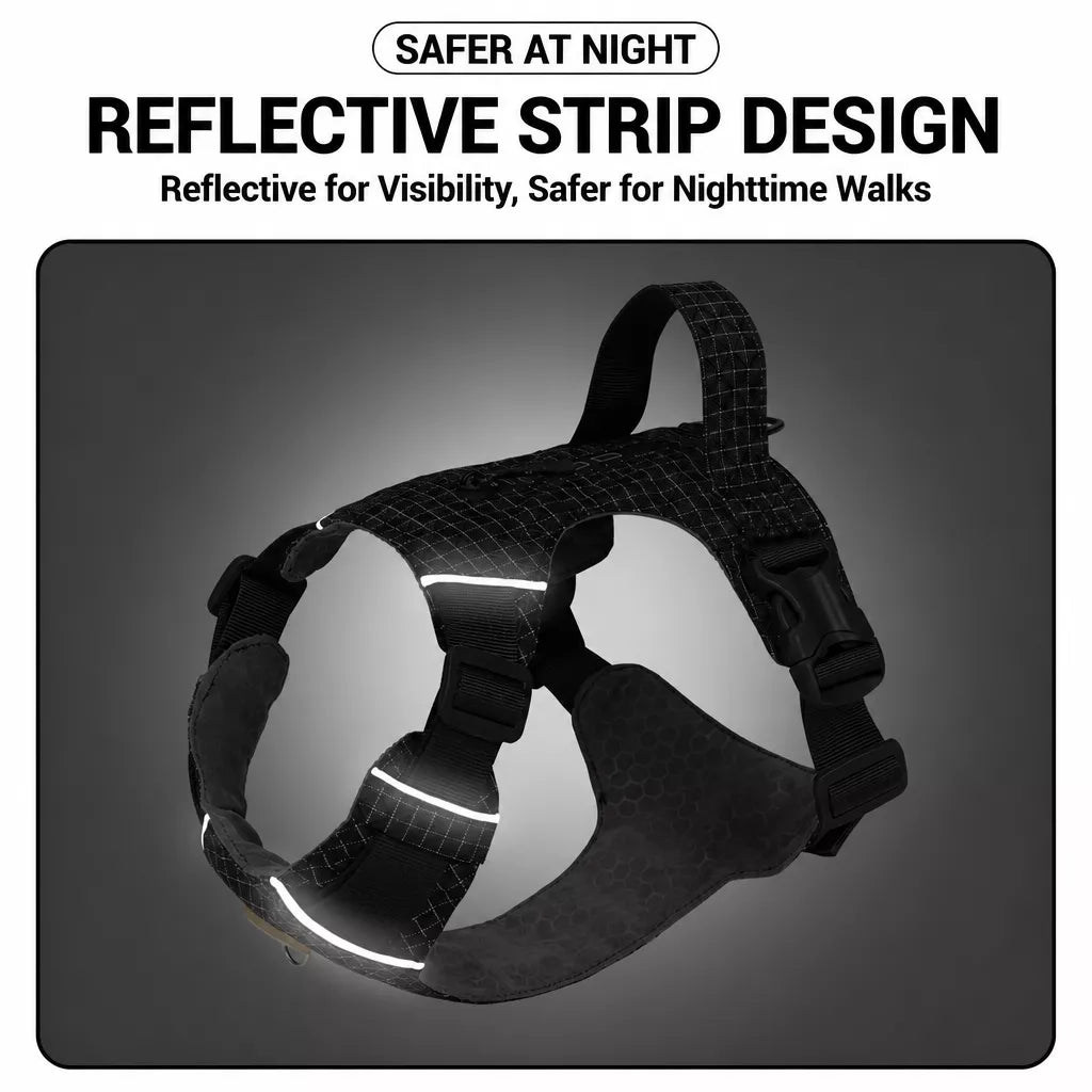 Adjustable Nylon Vest-Style Dog Harness and Leash Set