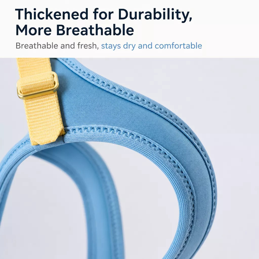 Adjustable Nylon Vest Harness for Small Dogs