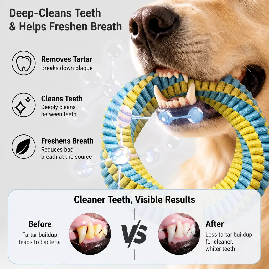 Knotted Nylon Dog Rope Tug Toy for Interactive Play