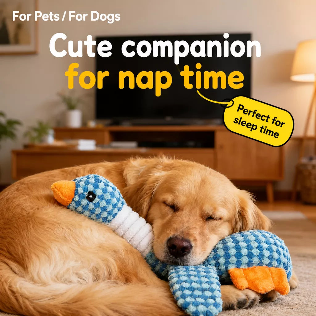 Plush Squeaky Pet Toy for Dogs and Cats – Assorted Animal Designs