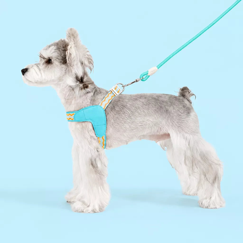 Y-Shaped Dog Harness and Leash for Small to Medium Dogs