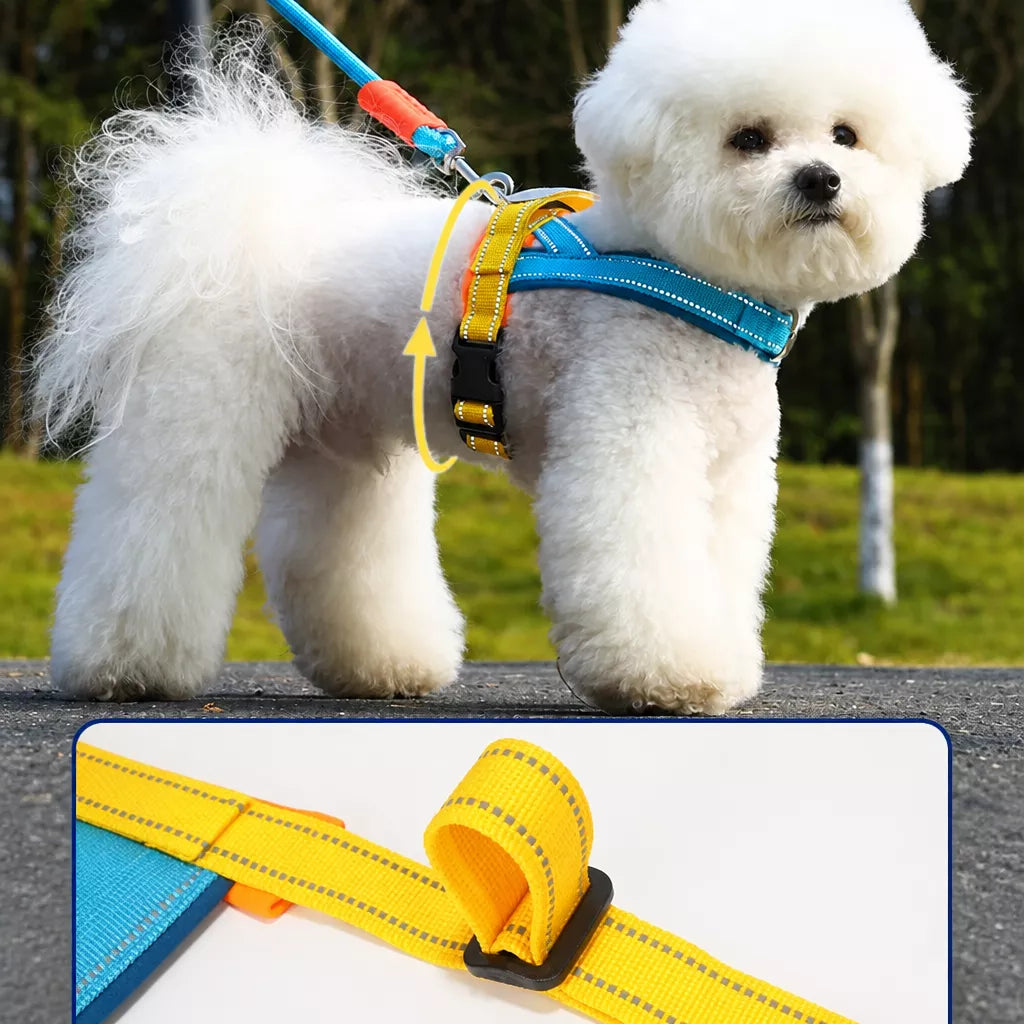 Nylon Round Dog Leash for Small to Medium Dogs