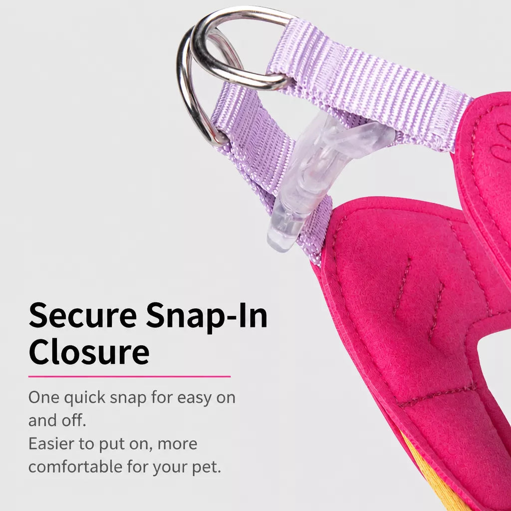 Y-Front Dog Harness with Matching Leash