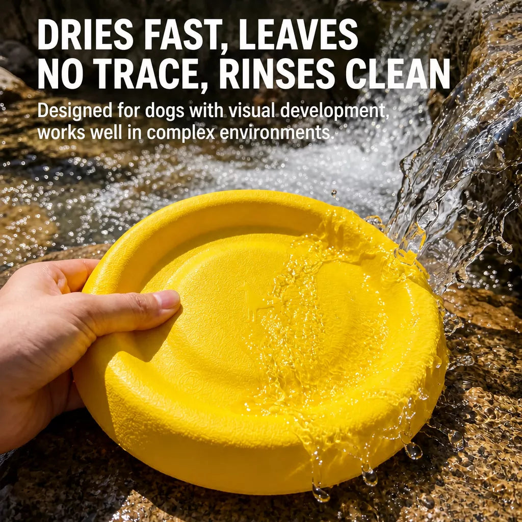 Floating Dog Frisbee Toy for Interactive Outdoor Play