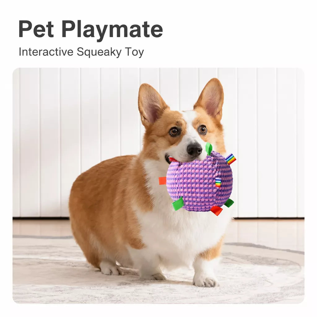 Squeaky Plush Ball Dog Toy