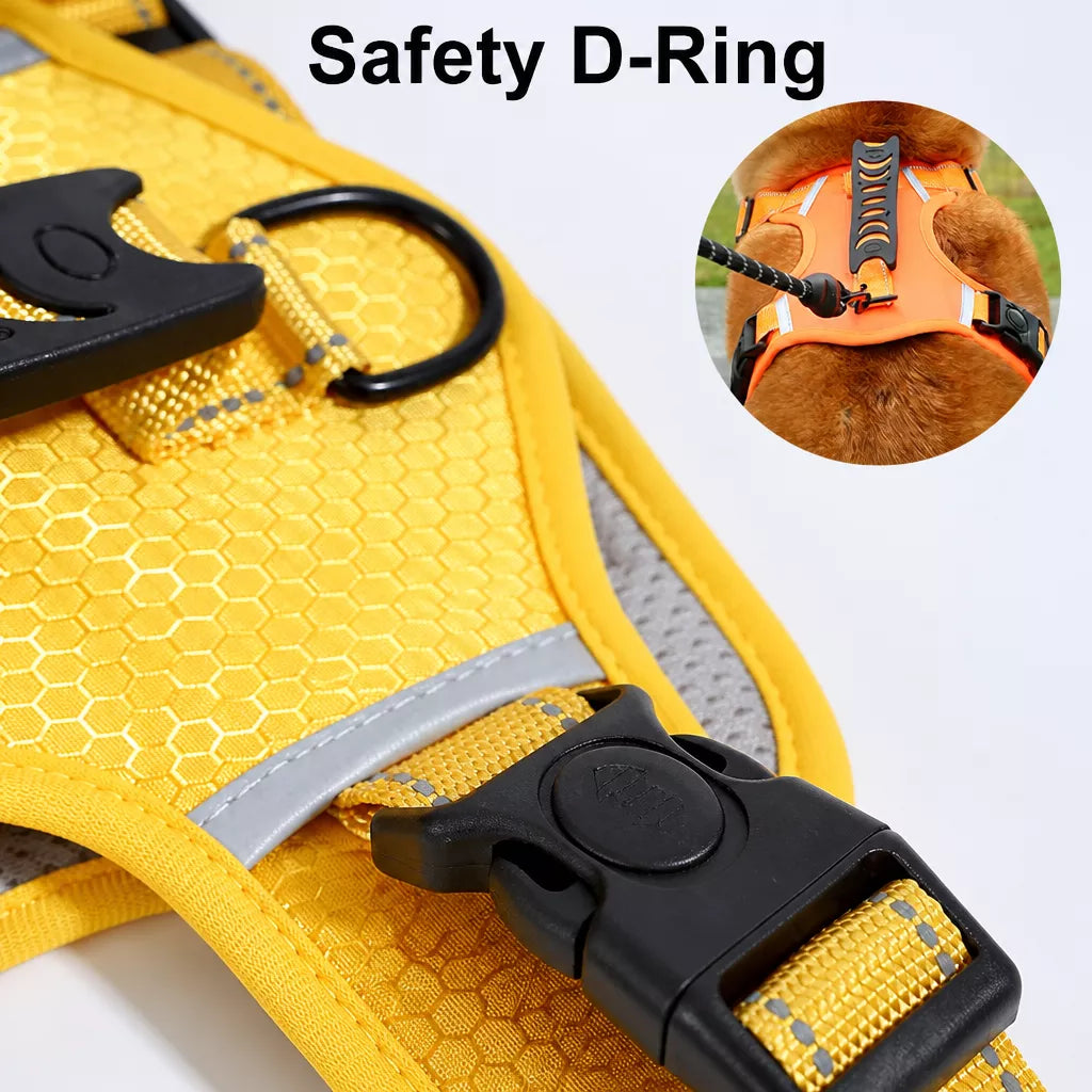 Dog Vest Harness and Leash for Everyday Walks