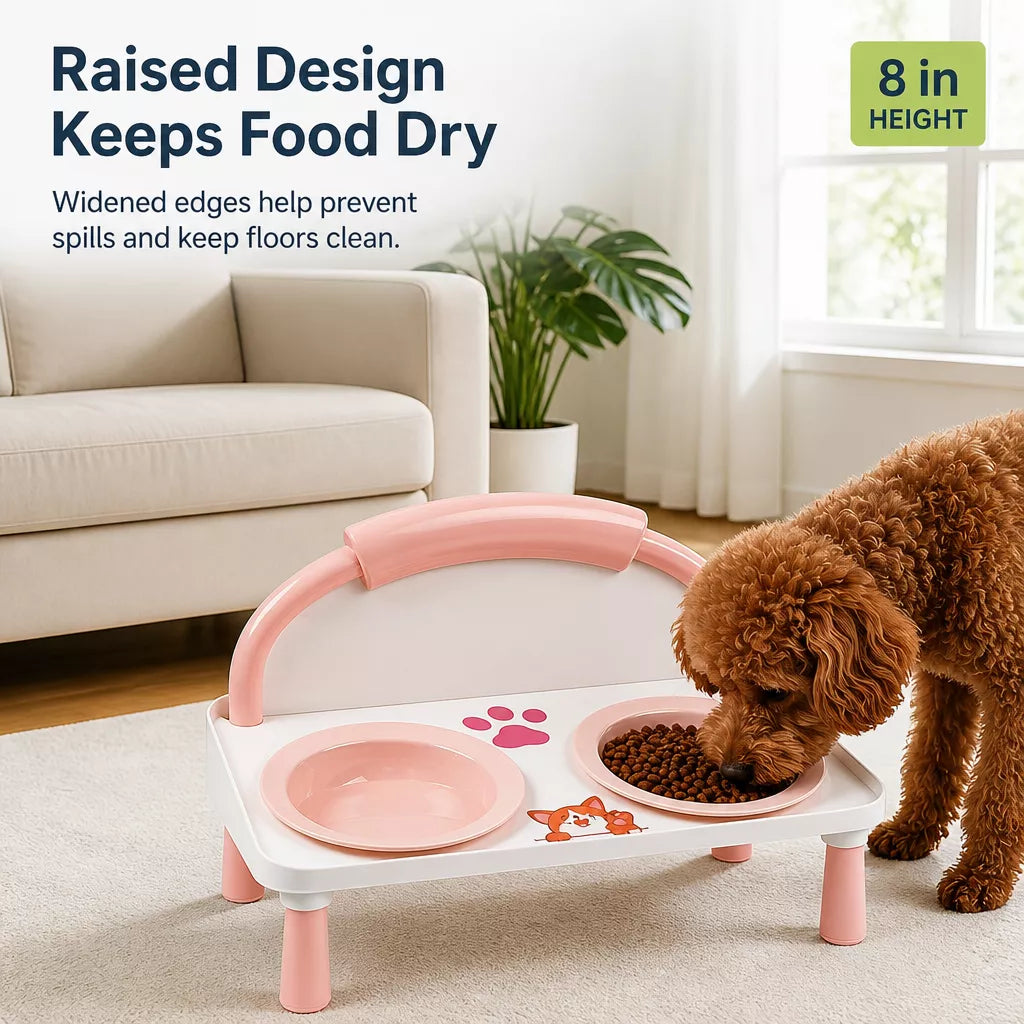 Elevated Ceramic Double Bowl Set for Cats & Dogs