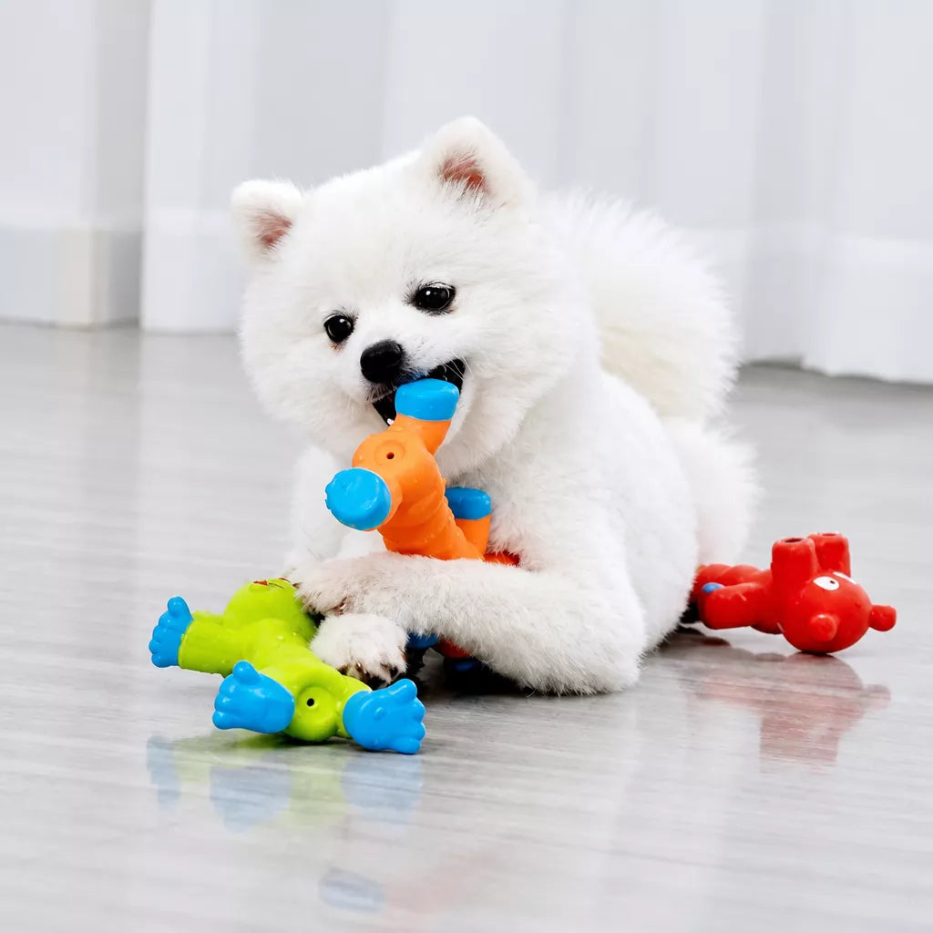Latex Squeaky Dog Toy for Small and Medium Dogs