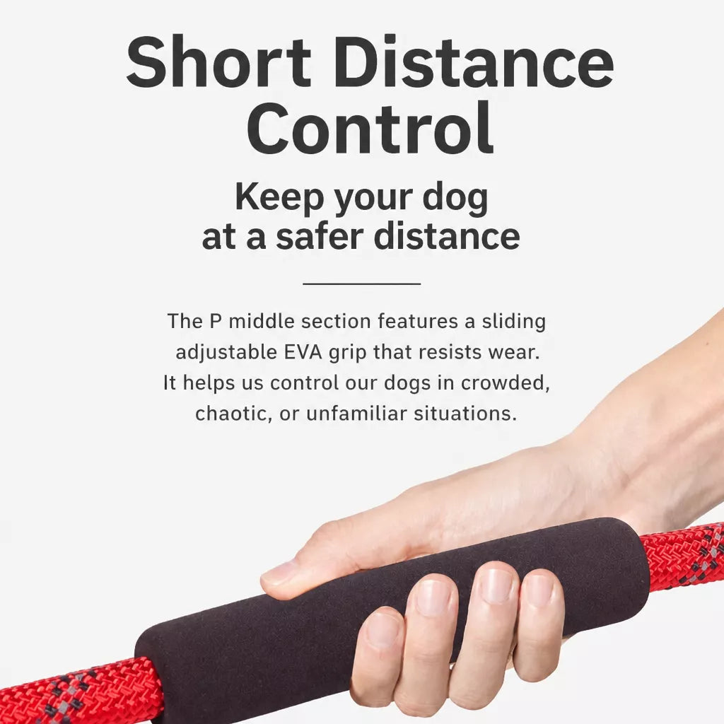 Dog Rope Leash