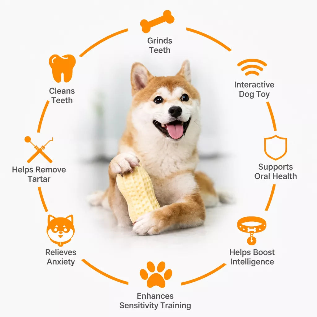 Peanut-Shaped Squeaky Dog Toy