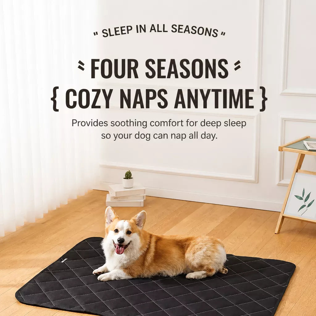 Foam Dog Crate & Floor Mat