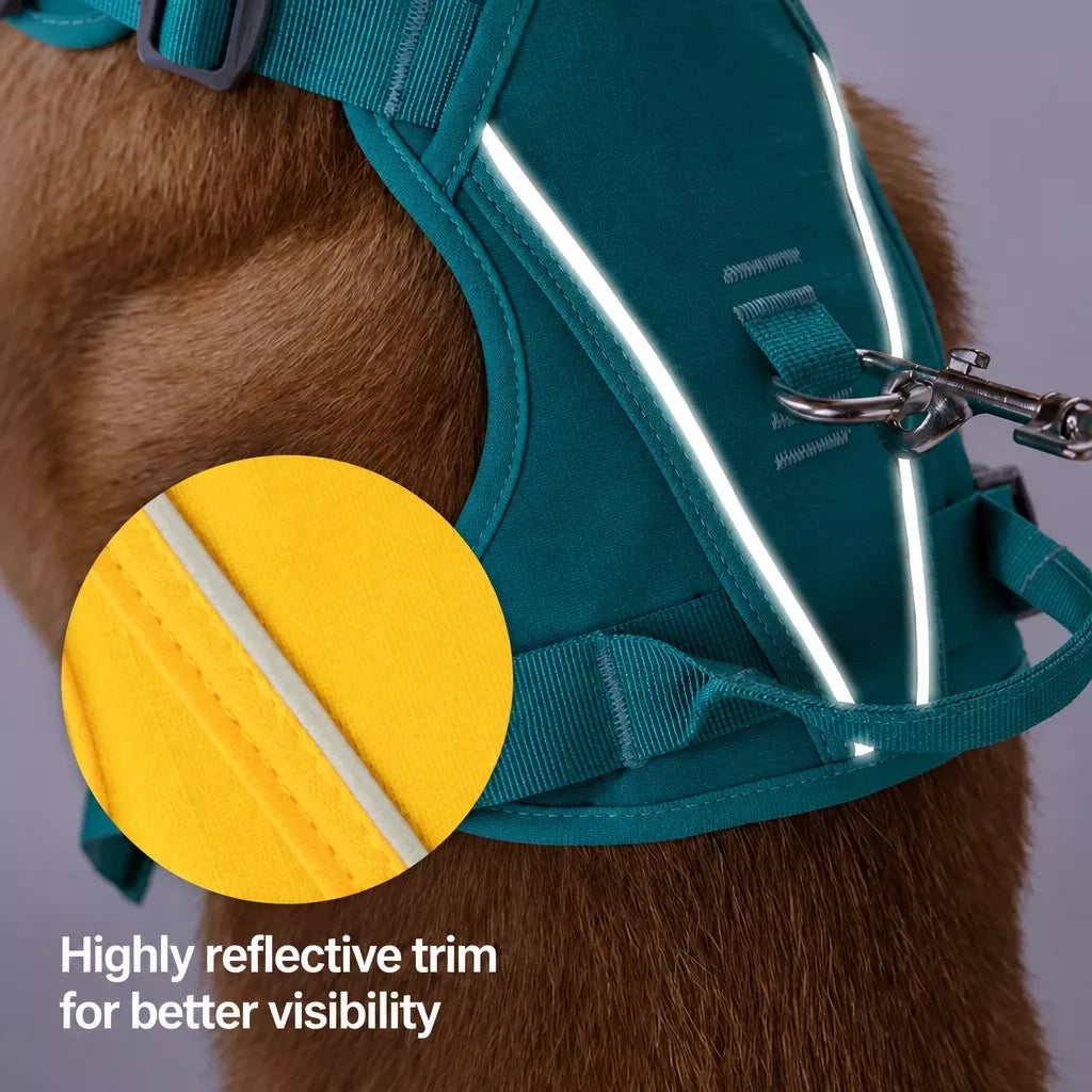 Lightweight Nylon Dog Harness and Leash Set