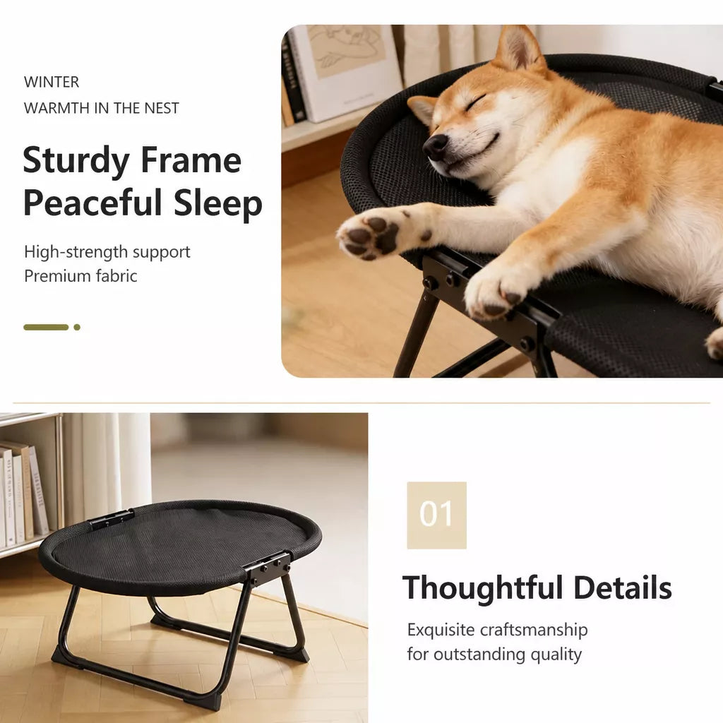 Foldable Elevated Pet Cot for Cats & Dogs