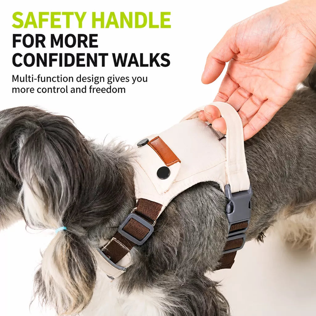 Adjustable Vest-Style Dog Harness with Leash for Walks