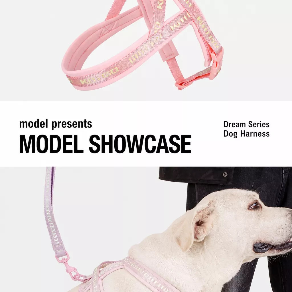 Nylon Dog Harness with Collar and Leash Set Options